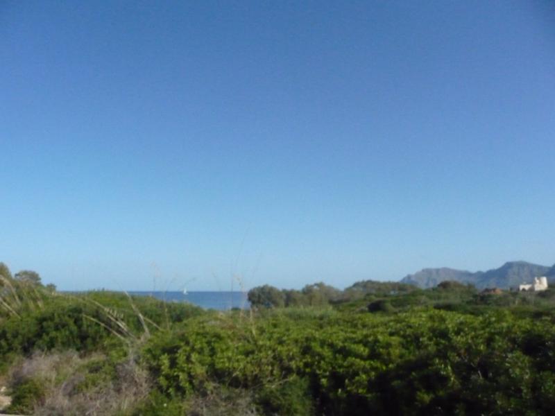 PLOT WITH SEA VIEWS WITH EXECUTION PLANS IN MONT FERRUTX
