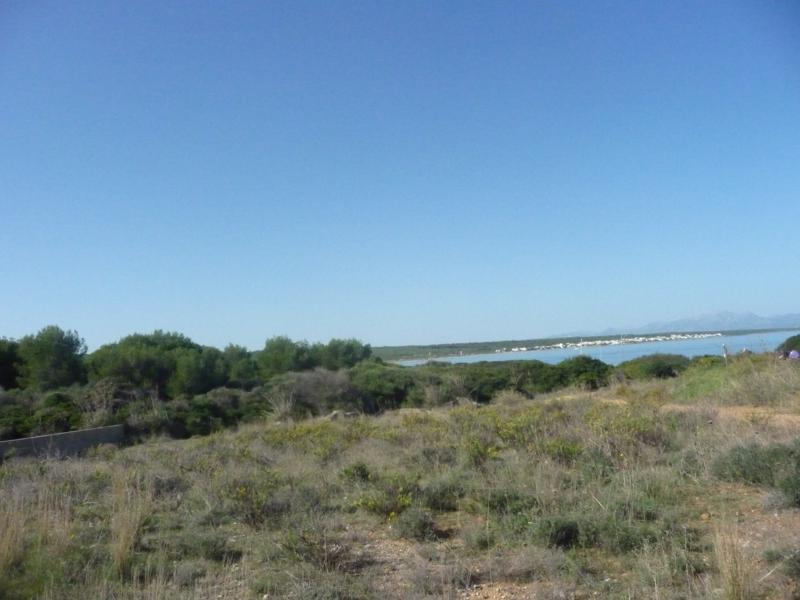 PLOT DIRECTLY TO THE SEA IN COLONIA DE SAN PEDRO 