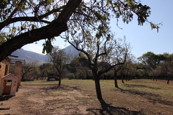 BEAUTIFUL PLOT WITH VIEWS OVER SEA AND MOUNTAINS IN COLONIA SAN PERE